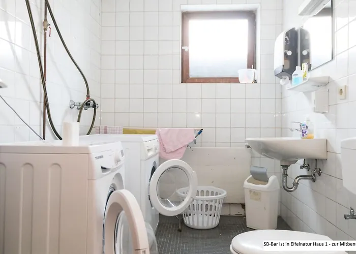 Eifelnatur - Haus 2-3 By Interhome Apartment *