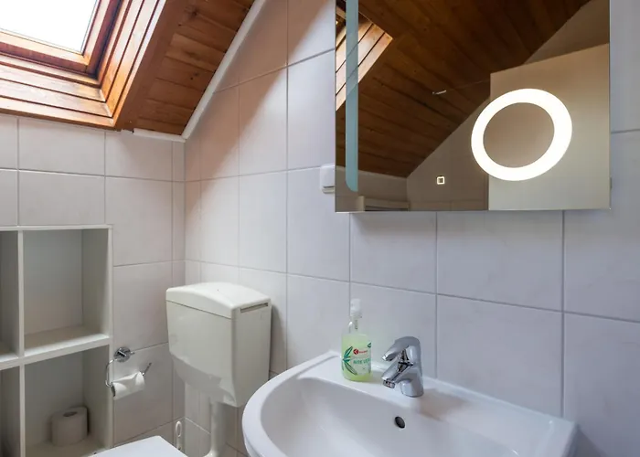 Eifelnatur - Haus 2-3 By Interhome Apartment *